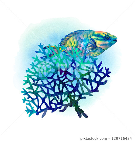 Rainbow big tropical parrot fish among multicolored mesh fire corals. Underwater sea view watercolor template for marine design, cards, posters, stickers, scrapbooking, textile, diving, snorkeling 129716484