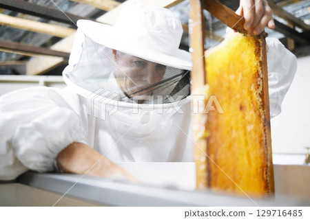 Honeycomb, honey production and woman, farmer with suit for safety, manufacturing process with beekeeper and workshop. Bee farming, natural product from bees and organic, eco friendly and extraction. Honeycomb, honey production and woman, farmer with suit for safety, manufacturing process with beekeeper and workshop. Bee farming, natural product from bees and organic, eco friendly and extraction. 129716485