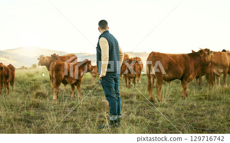 Farmer, man and cattle farm with animal walk, relax and feeding on grass field, agriculture and nature. Farm, mexican man and livestock farming in Mexico countryside for sustainability, meat and milk Farmer, man and cattle farm with animal walk, relax and feeding on grass field, agriculture and nature. Farm, mexican man and livestock farming in Mexico countryside for sustainability, meat and milk 129716742