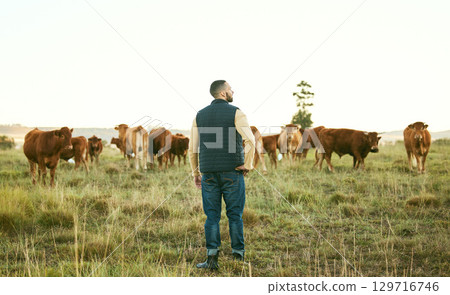 Man, planning or thinking on cow farm field of herd management, dairy export industry or beef sales ideas. Farmer, cattle or bovine group in countryside agriculture or sustainability cows environment 129716746