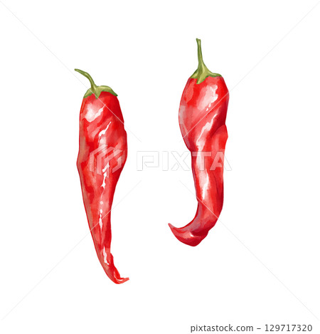 Hand-drawn illustration featuring two red chili peppers. Perfect for spicy food themes and vibrant culinary designs. Hand-drawn illustration featuring two red chili peppers. Perfect for spicy food themes and vibrant culinary designs. 129717320