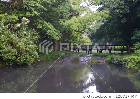 公園早晨 公園早晨 129717407