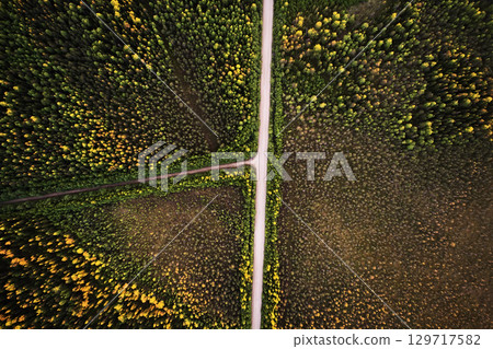 Top view of a road with a crossroad in the forest Top view of a road with a crossroad in the forest 129717582