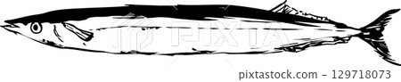 秋刀魚墨畫插圖 秋刀魚墨畫插圖 129718073
