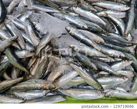Fresh small horse mackerel rest on a bed of ice, ready for purchase in a supermarket. The chilled seafood is attractively arranged to catch shoppers' attention. 129719086