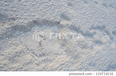Salty soil near the lake shore. The texture of a salty crust near a salt marsh Salty soil near the lake shore. The texture of a salty crust near a salt marsh 129719216