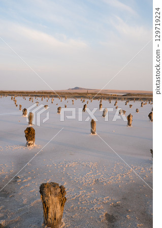 The pillars are the remains of platforms on which salt was dried at sunset. Lake Baskunchak. Astrakhan region, Russia. The pillars are the remains of platforms on which salt was dried at sunset. Lake Baskunchak. Astrakhan region, Russia. 129719224