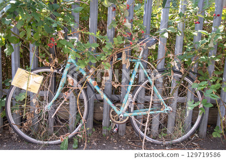 an aged, light blue bicycle leaning against a fence, with green vines partially overgrown on its frame and the surrounding area. an aged, light blue bicycle leaning against a fence, with green vines partially overgrown on its frame and the surrounding area. 129719586