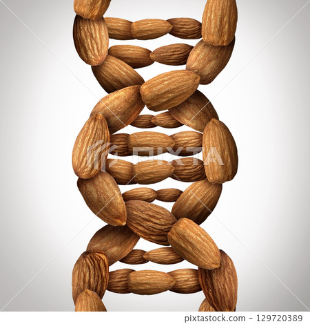 Almonds And Health Almonds And Health 129720389