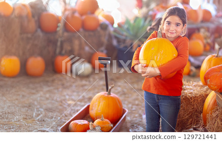 Young Girl Choosing A Pumpkin at A Pumpkin Patch on a Fall Day. Young Girl Choosing A Pumpkin at A Pumpkin Patch on a Fall Day. 129721441