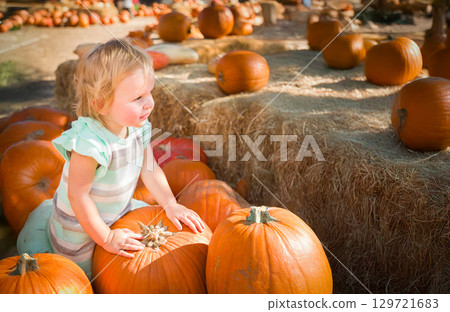 Cute Baby Girl Having Fun at the Pumpkin Patch on a Sunny Fall Day. 129721683