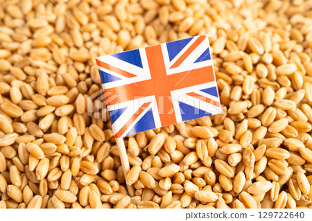 Grains wheat with UK United Kingdom flag, trade export and economy. 129722640
