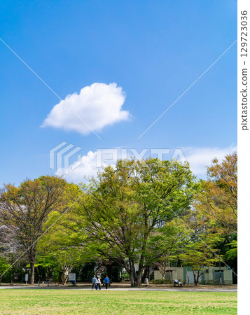 Refreshing spring park scenery: Children exercising 129723036