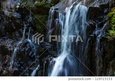  Cock Waterfall 129723153