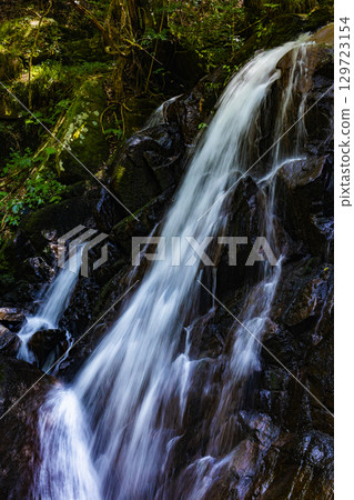  Cock Waterfall 129723154