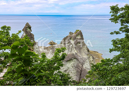 鮁浦(下北半島,7 月) 鮁浦(下北半島,7 月) 129723697