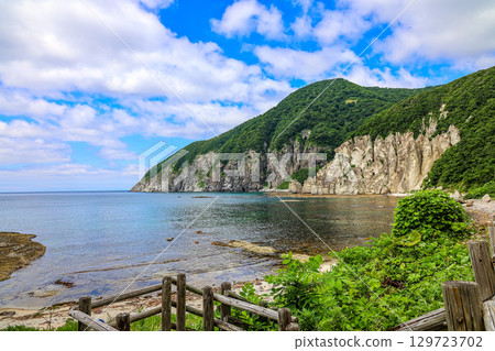 鮁浦（下北半島，7 月） 129723702