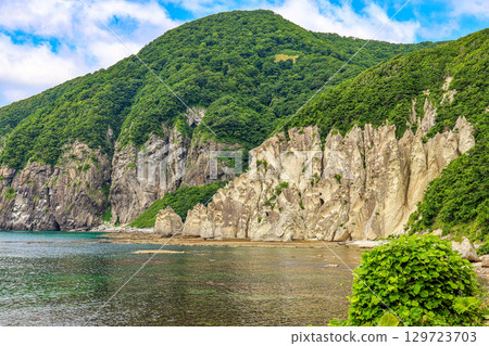 鮁浦（下北半島，7 月） 129723703