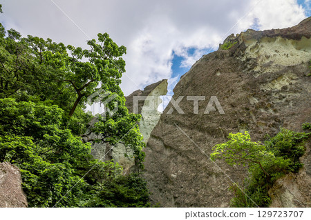 鮁浦（下北半島，7 月） 129723707
