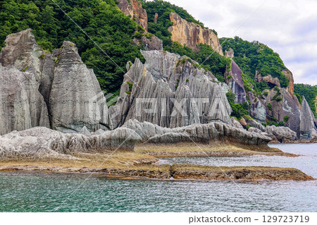 鮁浦（下北半島，7 月） 129723719