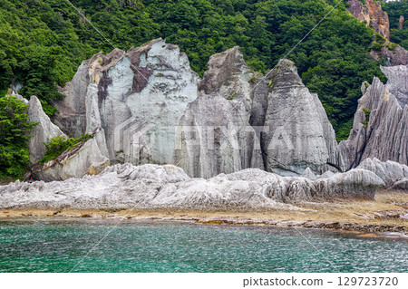 鮁浦（下北半島，7 月） 129723720