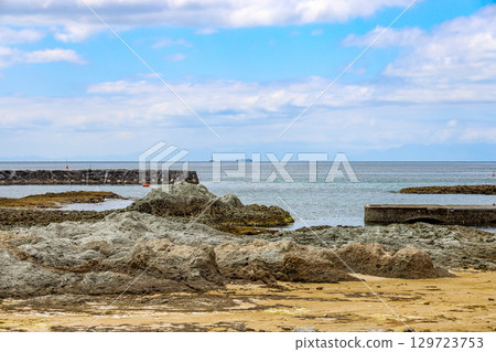 鮁浦（下北半島，7 月） 129723753