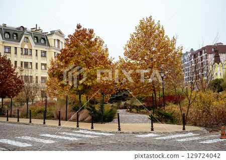 A tree in front of a building 129724042