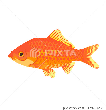 逼真的 Wakin 插圖，顏色，無線條 129724236