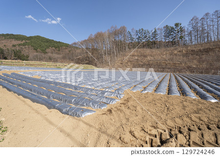 Field before spring planting 129724246