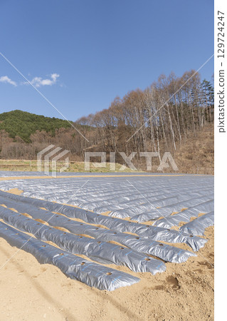 Field before spring planting 129724247