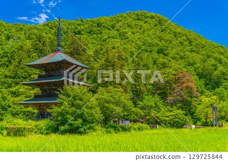 Three-storied pagoda in early summer 129725844