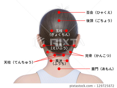 Explanation of acupressure points on the back of the head Illustration of the upper body of a Japanese 3D model from behind Explanation of acupressure points on the back of the head Illustration of the upper body of a Japanese 3D model from behind 129725872
