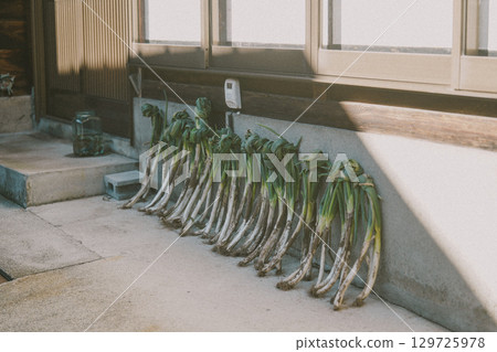 一座老房子的屋簷上晾曬的蔥 129725978