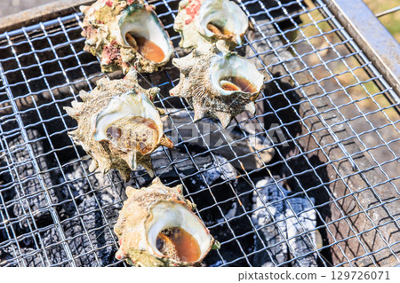 Food grilled on a barbecue grill 129726071