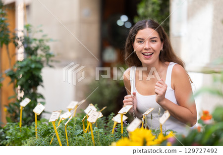 Female buyer looks at goods in outdoor shop, choose decorative potted sunflower 129727492