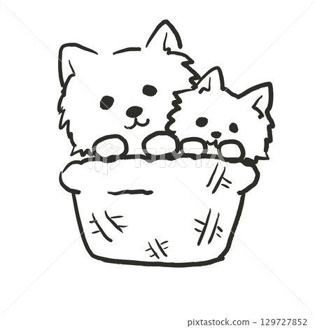 Illustration of two Chihuahuas getting along in a basket. Illustration of two Chihuahuas getting along in a basket. 129727852