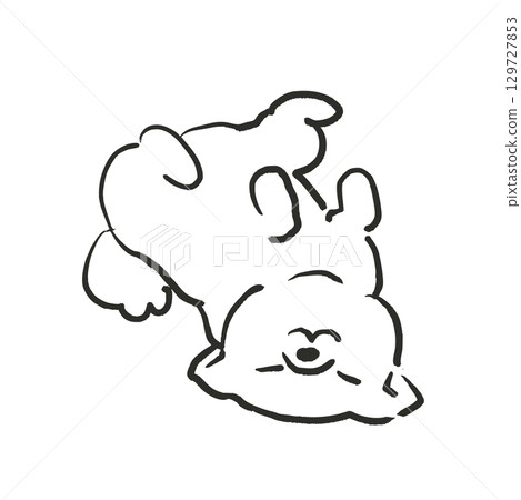 Illustration of a Shiba Inu lying on its back. Illustration of a dog. 129727853