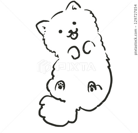 圖:一隻微笑著露出肚子的博美犬。狗狗插圖。 圖:一隻微笑著露出肚子的博美犬。狗狗插圖。 129727854