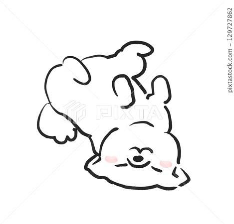 Illustration of a Shiba Inu lying on its back. Illustration of a dog. 129727862