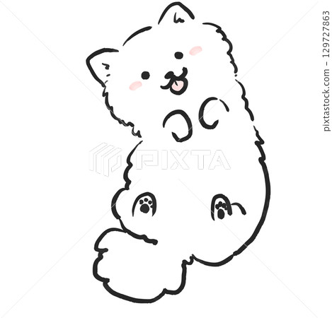 Illustration of a smiling Pomeranian showing its belly. Dog illustration. 129727863