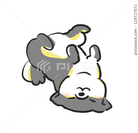 圖：一隻仰臥的柴犬。圖解：一隻狗。 129727871