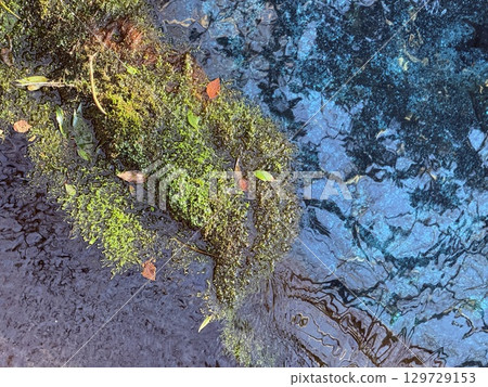 The beautiful cobalt blue spring water of Kakita River in Shizuoka Prefecture 129729153