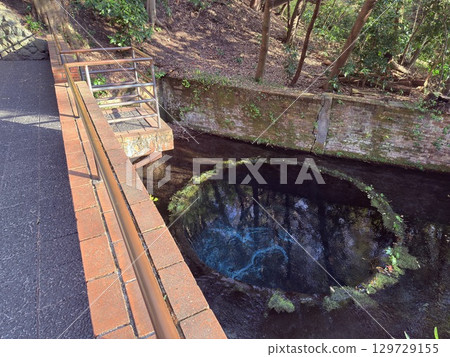 The beautiful cobalt blue spring water of Kakita River in Shizuoka Prefecture The beautiful cobalt blue spring water of Kakita River in Shizuoka Prefecture 129729155