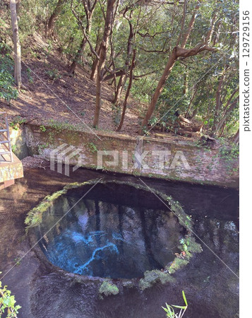 The beautiful cobalt blue spring water of Kakita River in Shizuoka Prefecture The beautiful cobalt blue spring water of Kakita River in Shizuoka Prefecture 129729156