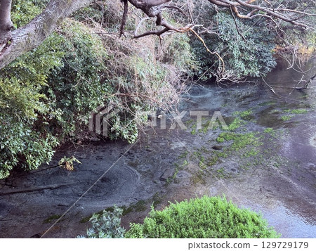 The beautiful cobalt blue spring water of Kakita River in Shizuoka Prefecture The beautiful cobalt blue spring water of Kakita River in Shizuoka Prefecture 129729179