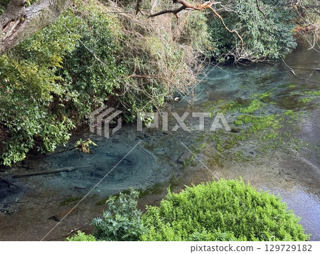 靜岡縣柿田川美麗的鈷藍色泉水 靜岡縣柿田川美麗的鈷藍色泉水 129729182