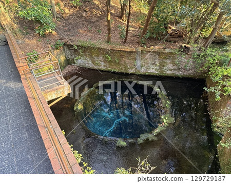 The beautiful cobalt blue spring water of Kakita River in Shizuoka Prefecture The beautiful cobalt blue spring water of Kakita River in Shizuoka Prefecture 129729187