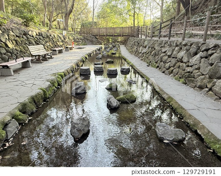 The beautiful cobalt blue spring water of Kakita River in Shizuoka Prefecture 129729191