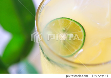 Citrus depressa image 129729461