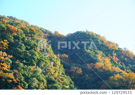一座變成紅色葉子的山 一座變成紅色葉子的山 129729533